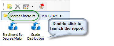 Shared Shortcuts. Double click to launch the report.
