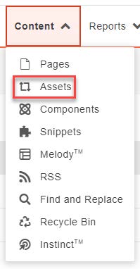 Image showing Content -> Assets