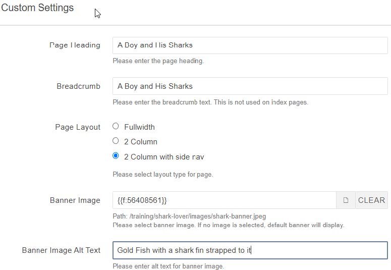 Image showing Custom Setting input fields