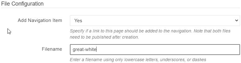 Image showing File Configuration input fields