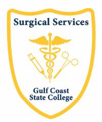 Surgical Services Patch