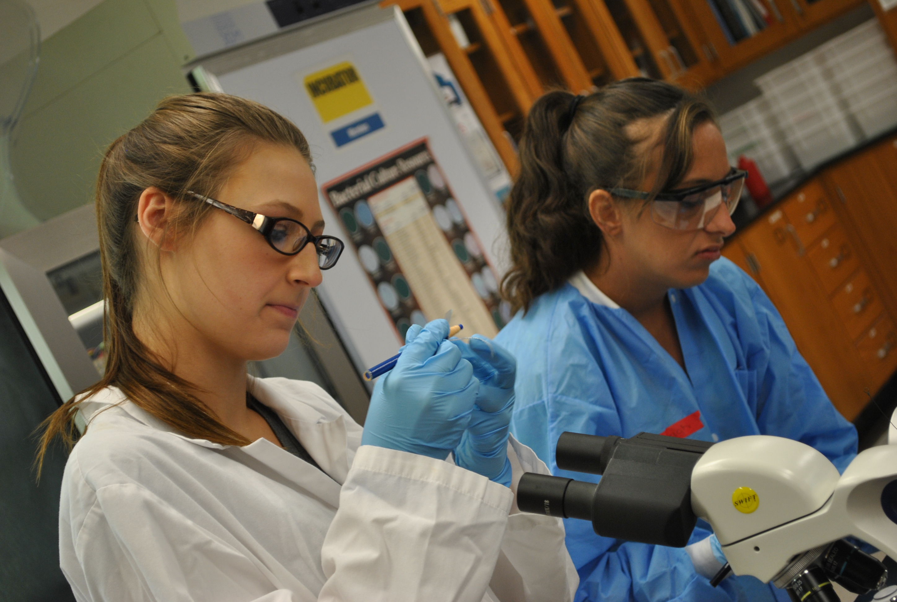 Students in Laboratory