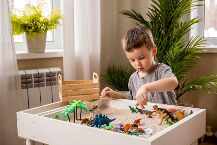 Boy playing with dinasaurs