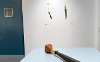 Implement, Ellen Kleckner and Linda Tien, various  