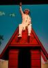 Snoopy on his dog house