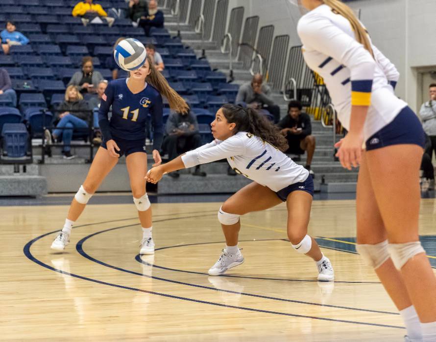 Elaina Reynolds, Student Athlete (Volleyball)
